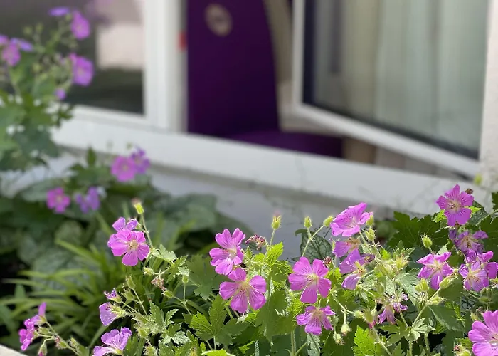 Apartmán Steiner Residences Vorgartenstrasse *